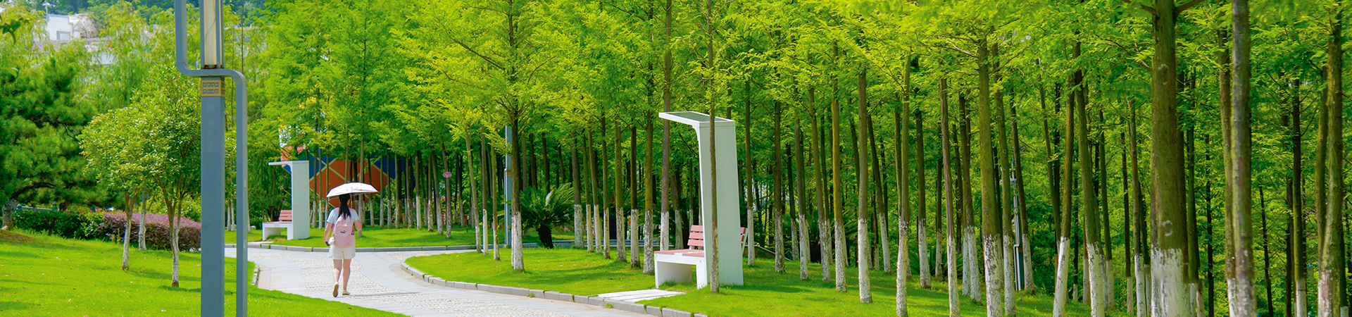 suncitygroup太阳集团